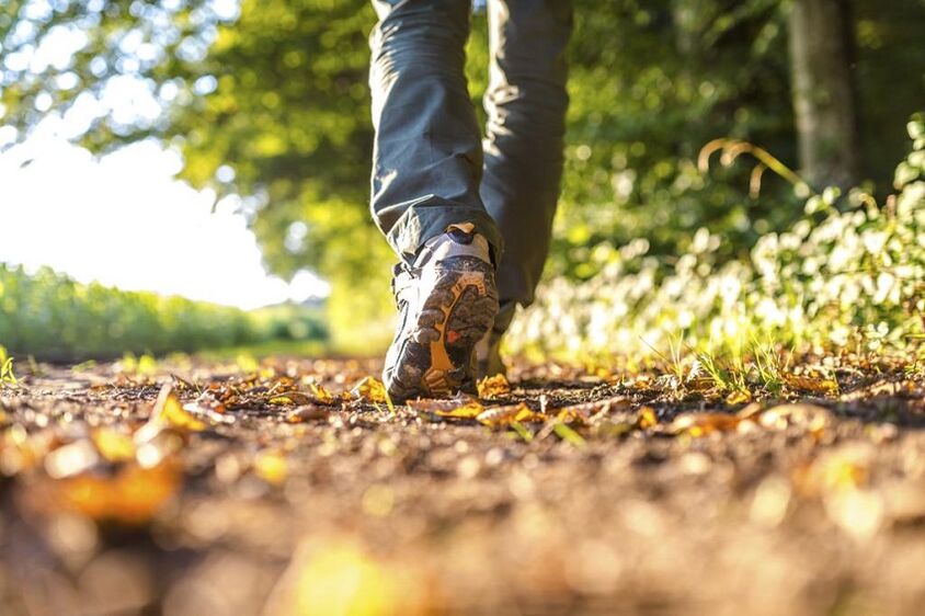 walking for the prevention of arthrosis